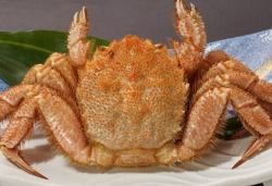 삶은 털게