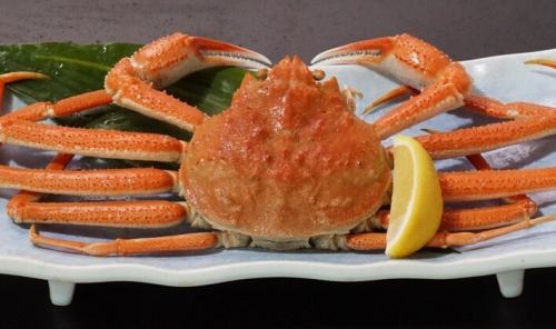 삶은 홋카이 게