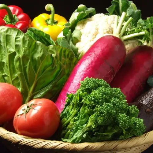 新鮮野菜をたっぷり使用