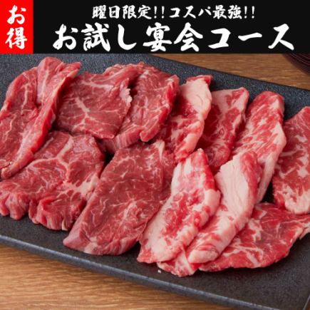 【2時間飲み放題付】曜日限定!!東京BeeNの定番メニューを揃えた全10品『お試し宴会コース』