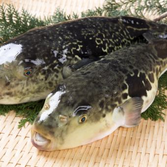 【極限套餐】含無限暢飲9,000日元★老虎河豚泡菜、辣椒火鍋、魚白、5種野生魚 *限時*前一天預約