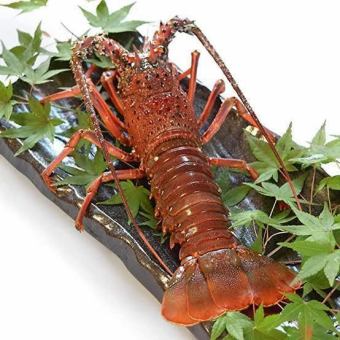 [Spiny Lobster Course] All-you-can-drink included \10,000 tax included *Reservation required 2 days in advance