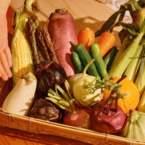 板長目利きのカラフル野菜