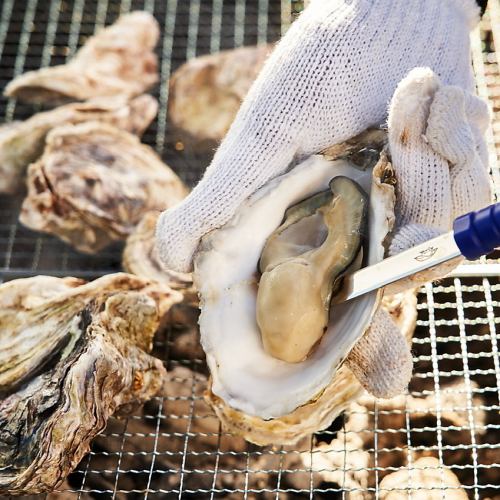 【冬季限定】牡蠣小屋オープン！！