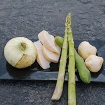 ３時間【春季限定】たけのこ・アスパラ等「旬の春野菜5種」×手ぶらライトBBQプラン！