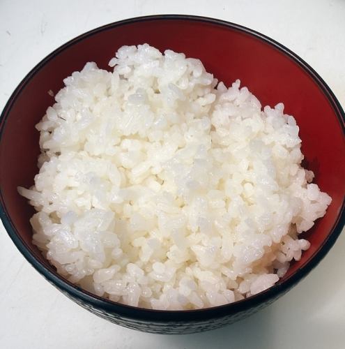 【ご飯】白ごはん(並)
