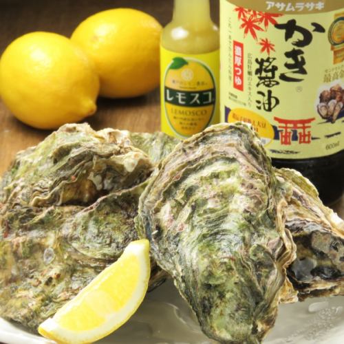 ☆We have raw oysters♪☆