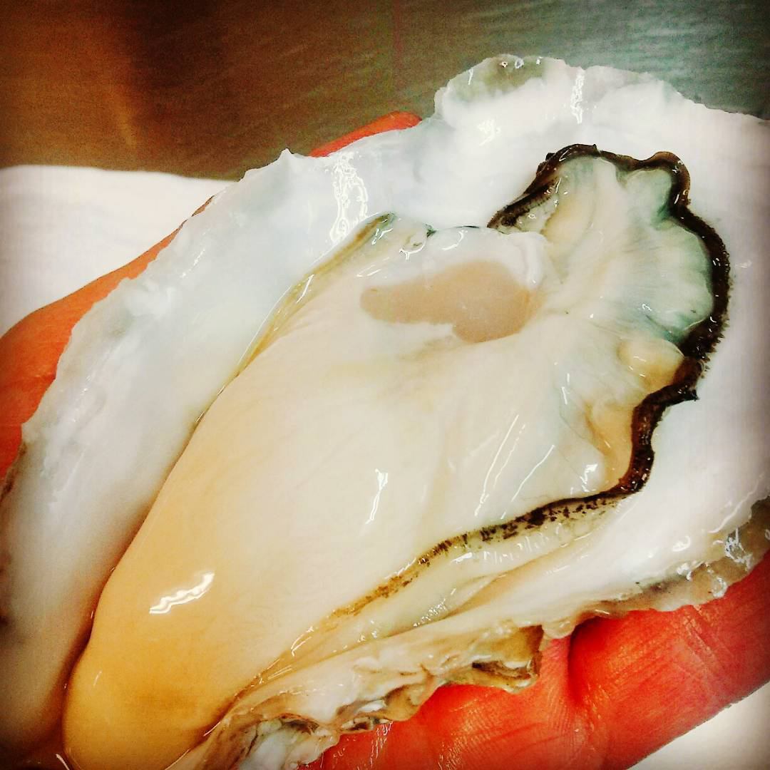Directly from the production area! Carefully selected the most delicious oysters of that time! Open from 17:00 on Saturdays and Sundays!