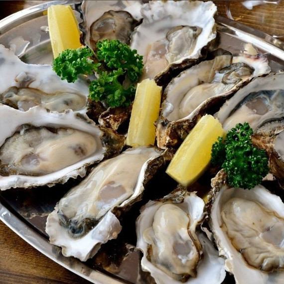 [Ship directly from the production area! Oyster plate] Lots of large oysters ♪