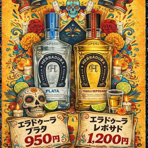 今月おすすめテキーラ！！