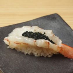 [Secret Sushi] Red Shrimp with Other People's Roe Type 2
