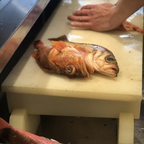 主役へ豪華刺盛を