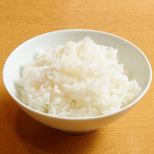 白ご飯(並)