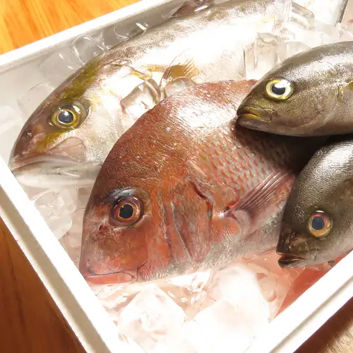 旬の魚介は日替わりで