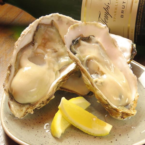 スパークリングワインや白ワインに相性ピッタリ♪産地直送の牡蠣　【Flesh Oyster　１P　380円（税抜）】
