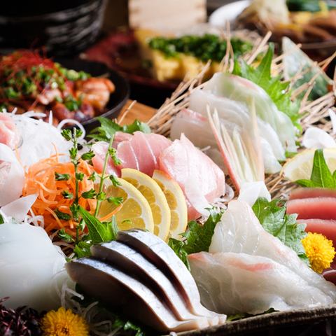 请享用我们的海鲜菜肴，如生鱼片和特色美食，均使用从渔港直送的新鲜鱼制成！