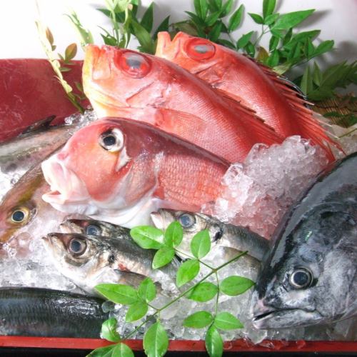 毎日仕入れる自慢の新鮮鮮魚たち◎