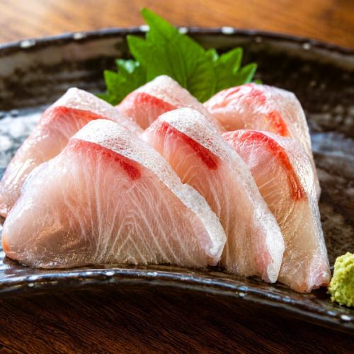 島かんぱち 