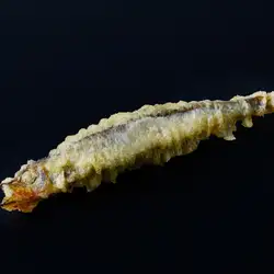 열빙어