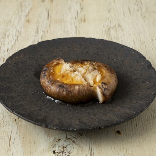 おい！しいたけ