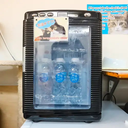 嬉しいペットボトルドリンク1本付