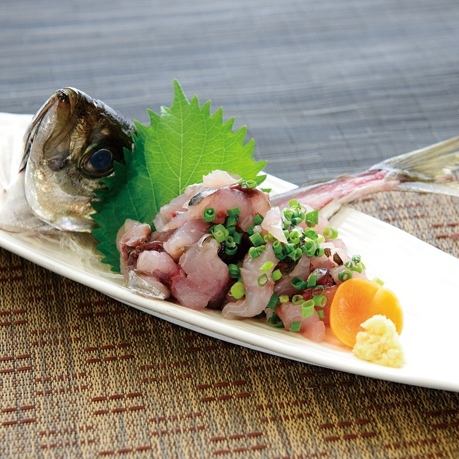 Horse mackerel tataki