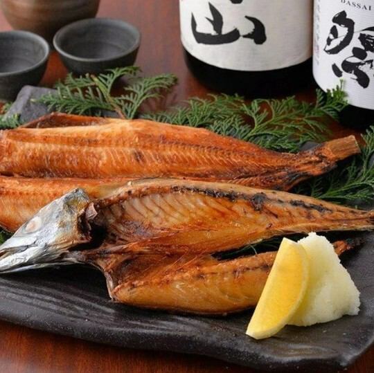 特選干物×冷酒の至福｜日替わりで味わう贅沢なひととき