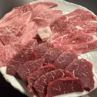 Online Reservation Only: All-You-Can-Eat 41 Types of Yakiniku (Japanese BBQ) - 90-Minute A5 Wagyu Beef All-You-Can-Eat (Light Version)