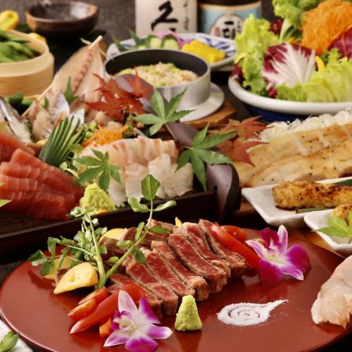 【平日限定★Open祭】お試し!『けんしろう-栄本店-コース』2H飲み放題付き(全7品)3980円⇒2980円
