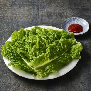 チシャ菜