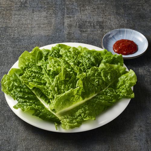 チシャ菜
