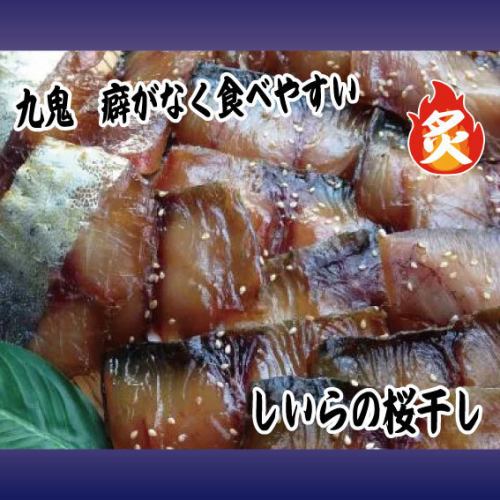 Shiira乾櫻花