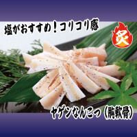 斜面软骨