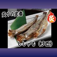 毛鳞鱼