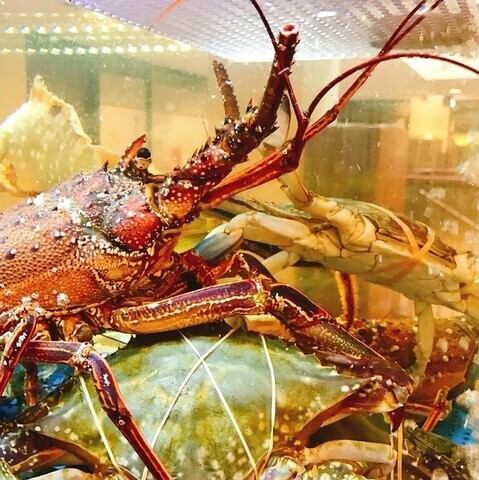 オーナーシェフ厳選！毎日届く新鮮な海鮮◎