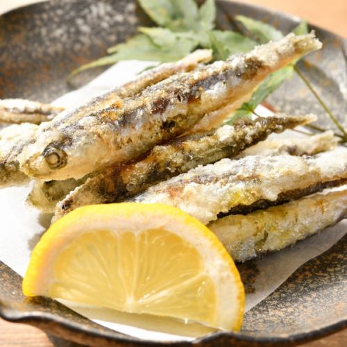 Small sardine tempura from Hiroshima