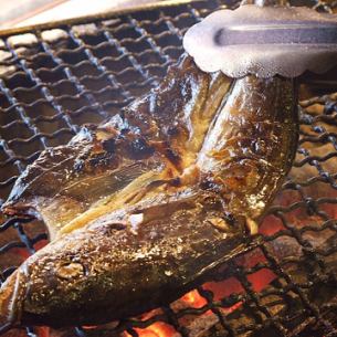 Charcoal Grilled Horse Mackerel