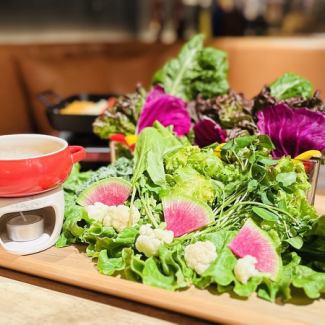 bagna cauda 10種蔬菜自助餐 肉奶酪鐵板番茄雞肉套餐 3,500日元起 附帶無限暢飲