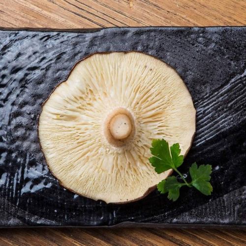 Large shiitake mushroom steak from Shintoku Town