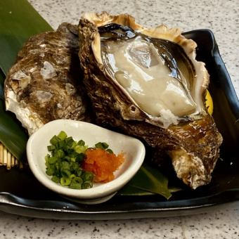 希少徳島産　岩牡蠣