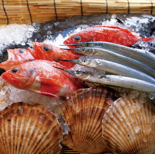 【漁師が目利きする鮮魚】