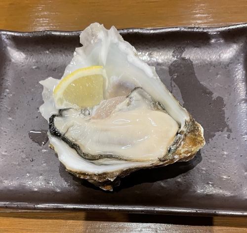 道東産 殻付牡蠣 1個480円(税込)~