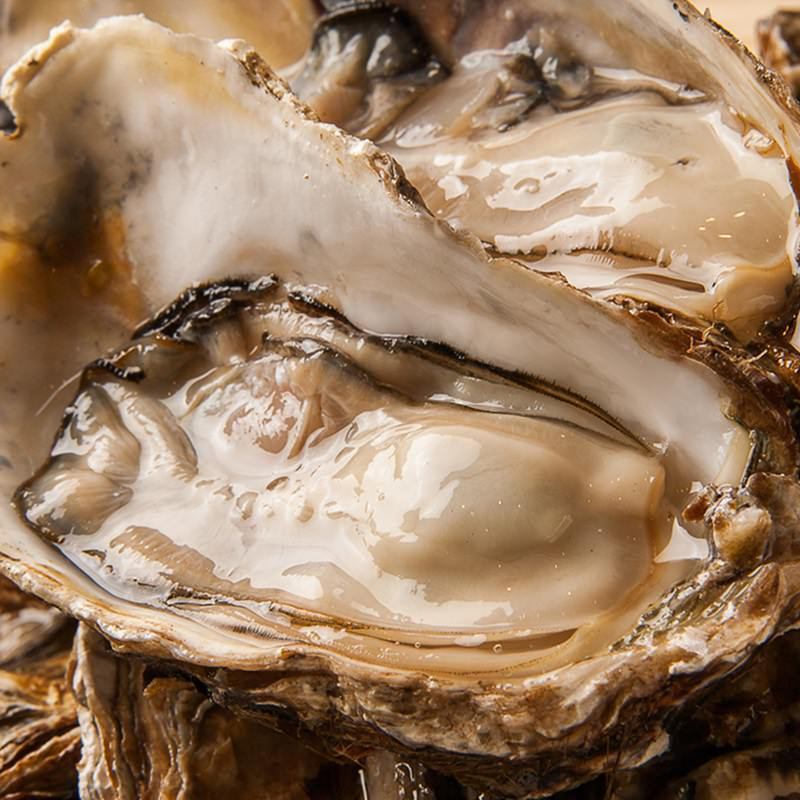 深夜翌3時迄営業！独自のルートで仕入れる牡蠣も人気★