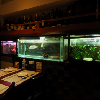 4名 水槽にも設置しており、お食事しながらお魚の姿を見ることができます。最高リラックスタイムです。スタイリッシュな店内を間接照明がやさしく照らします。貸切予約もOK♪プチパーティーやデートにぜひご利用下さいませ。