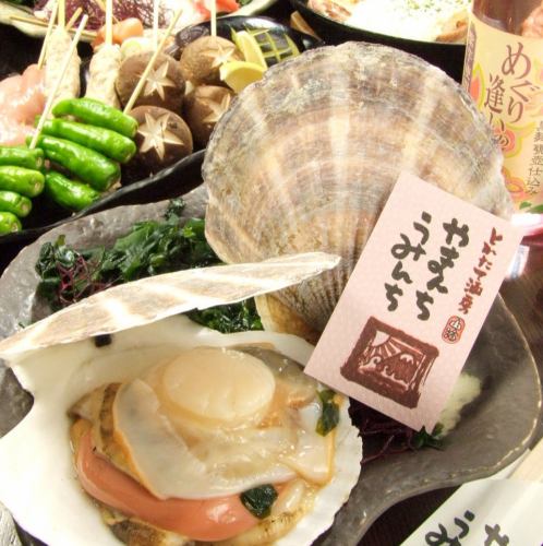 淵野辺といえばやまうみ！