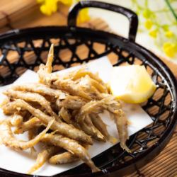 Deep-fried silver-stripe round herring