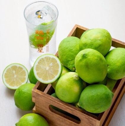 ☆最受欢迎☆柠檬酸味