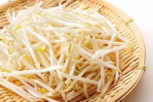 豆芽