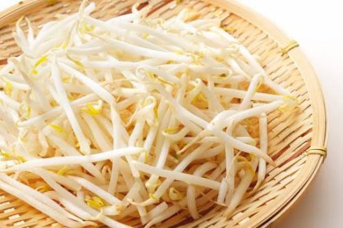 豆芽