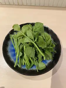 追加具材